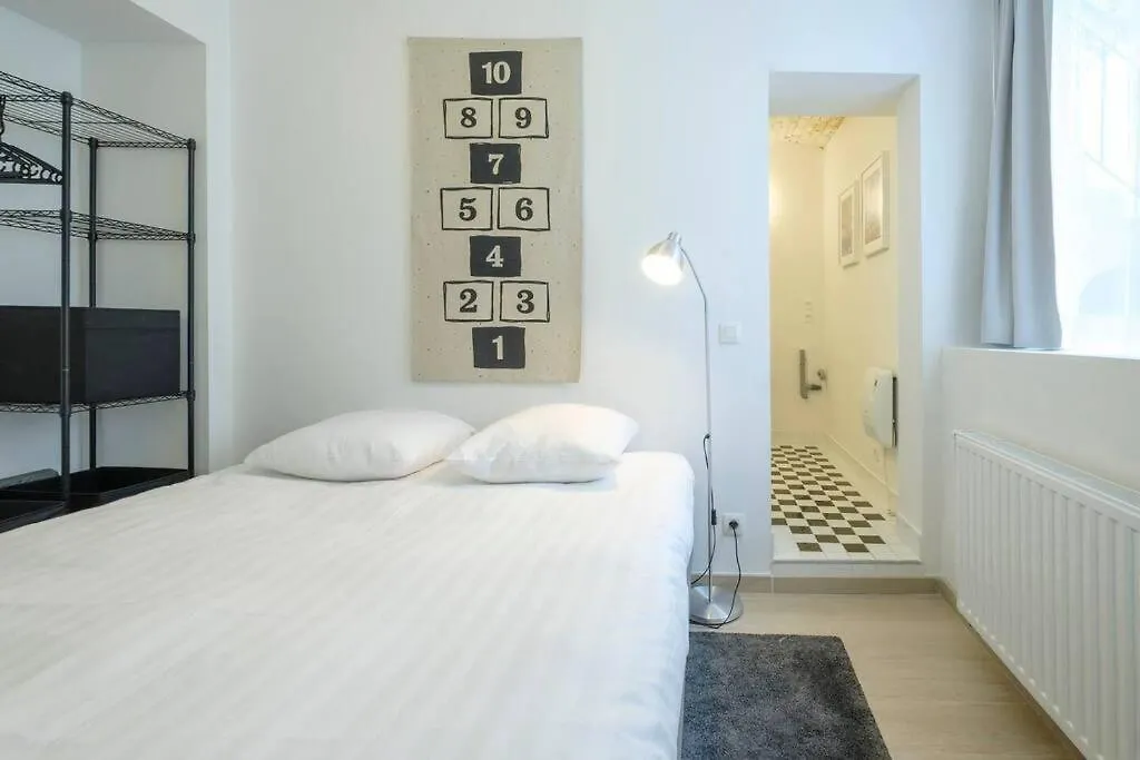 Superb 3 Bedroom & 3 Bathroom Duplex In Brussels City Centre Appartement